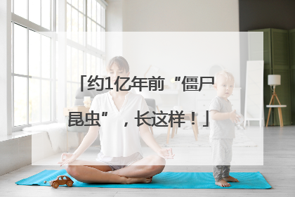 约1亿年前“僵尸昆虫”，长这样！