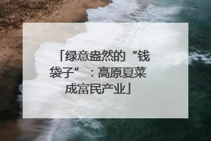 绿意盎然的“钱袋子”：高原夏菜成富民产业