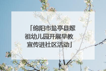 绵阳市盐亭县嫘祖幼儿园开展早教宣传进社区活动