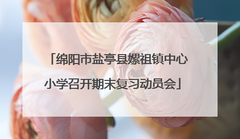 绵阳市盐亭县嫘祖镇中心小学召开期末复习动员会