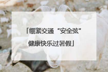 绷紧交通“安全弦” 健康快乐过暑假