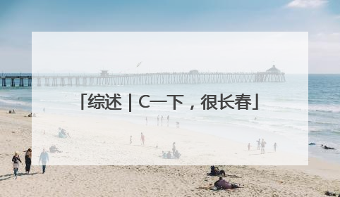 综述｜C一下，很长春