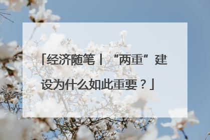 经济随笔丨“两重”建设为什么如此重要？
