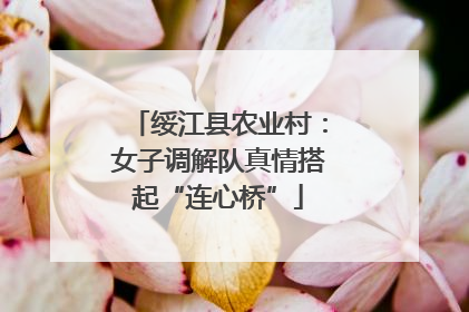 绥江县农业村：女子调解队真情搭起“连心桥”