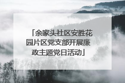 余家头社区安胜花园片区党支部开展廉政主题党日活动