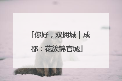 你好，双拥城｜成都：花簇锦官城