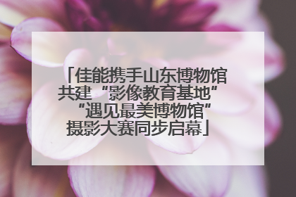 佳能携手山东博物馆共建“影像教育基地” “遇见最美博物馆”摄影大赛同步启幕