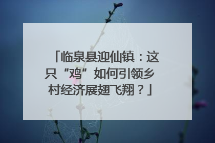 临泉县迎仙镇：这只“鸡”如何引领乡村经济展翅飞翔？