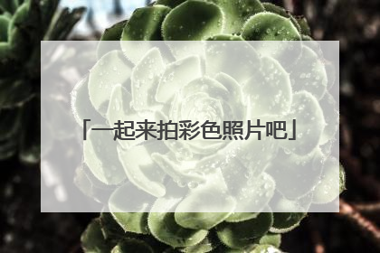 一起来拍彩色照片吧