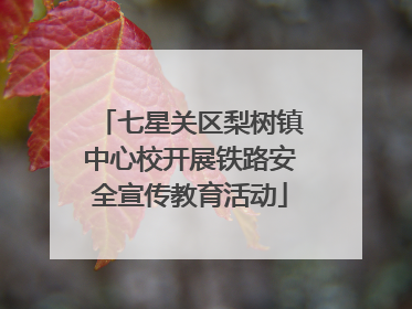 七星关区梨树镇中心校开展铁路安全宣传教育活动