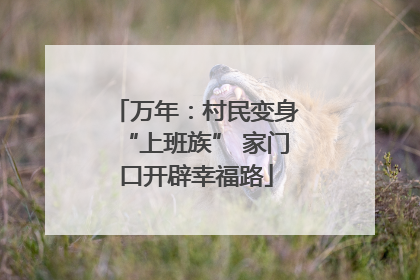 万年：村民变身“上班族” 家门口开辟幸福路