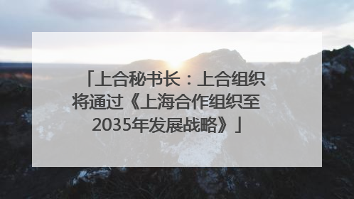 上合秘书长：上合组织将通过《上海合作组织至2035年发展战略》