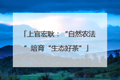 上官宏耿：“自然农法”培育“生态好茶”