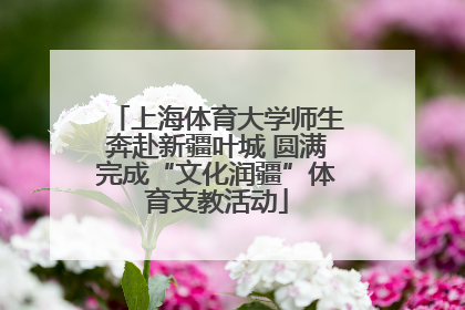 上海体育大学师生奔赴新疆叶城 圆满完成“文化润疆”体育支教活动