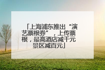 上海浦东推出“演艺票根券”，上传票根，最高酒店减千元景区减百元