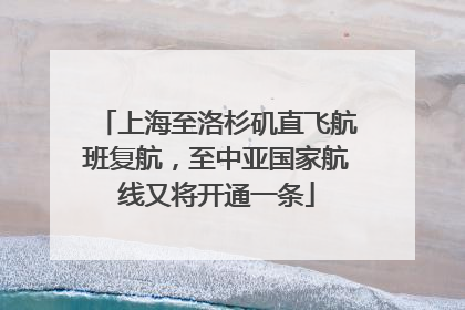上海至洛杉矶直飞航班复航，至中亚国家航线又将开通一条