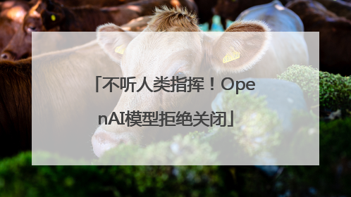 不听人类指挥！OpenAI模型拒绝关闭