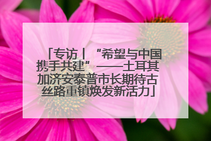 专访丨“希望与中国携手共建”——土耳其加济安泰普市长期待古丝路重镇焕发新活力