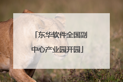 东华软件全国副中心产业园开园