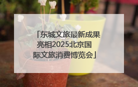东城文旅最新成果亮相2025北京国际文旅消费博览会