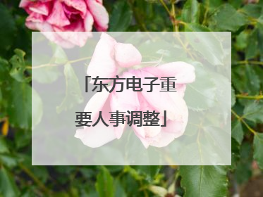 东方电子重要人事调整