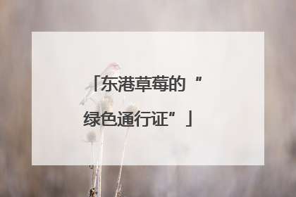 东港草莓的“绿色通行证”