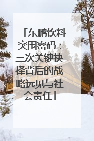 东鹏饮料突围密码：三次关键抉择背后的战略远见与社会责任
