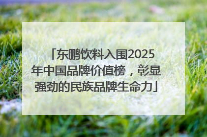 东鹏饮料入围2025年中国品牌价值榜，彰显强劲的民族品牌生命力