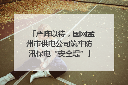 严阵以待，国网孟州市供电公司筑牢防汛保电“安全堤”