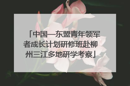 中国—东盟青年领军者成长计划研修班赴柳州三江多地研学考察