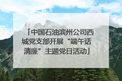 中国石油滨州公司西城党支部开展“端午话清廉”主题党日活动