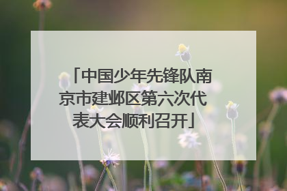 中国少年先锋队南京市建邺区第六次代表大会顺利召开