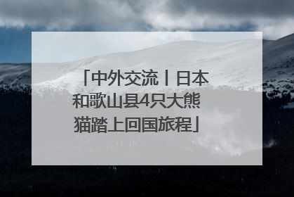 中外交流丨日本和歌山县4只大熊猫踏上回国旅程