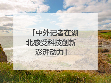 中外记者在湖北感受科技创新澎湃动力