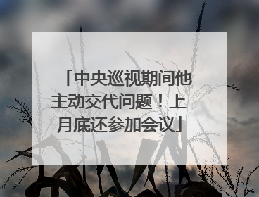 中央巡视期间他主动交代问题！上月底还参加会议