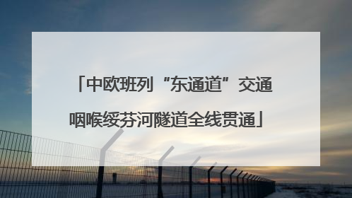 中欧班列“东通道”交通咽喉绥芬河隧道全线贯通