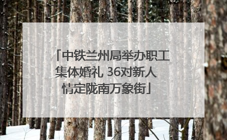 中铁兰州局举办职工集体婚礼 36对新人情定陇南万象街