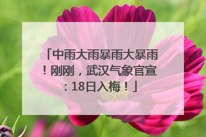 中雨大雨暴雨大暴雨！刚刚，武汉气象官宣：18日入梅！