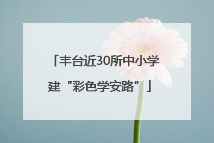 丰台近30所中小学建“彩色学安路”