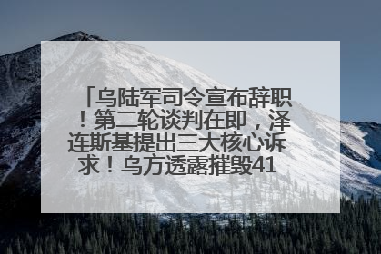 乌陆军司令宣布辞职！第二轮谈判在即，泽连斯基提出三大核心诉求！乌方透露摧毁41架俄战略轰炸机