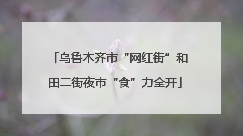 乌鲁木齐市“网红街”和田二街夜市“食”力全开