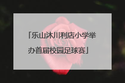 乐山沐川利店小学举办首届校园足球赛