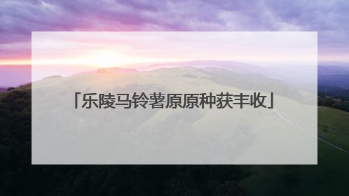 乐陵马铃薯原原种获丰收