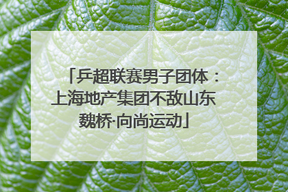乒超联赛男子团体：上海地产集团不敌山东魏桥·向尚运动