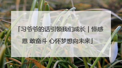 习爷爷的话引领我们成长｜懂感恩 敢奋斗 心怀梦想向未来