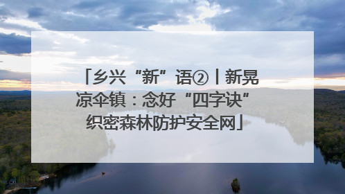 乡兴“新”语②丨新晃凉伞镇：念好“四字诀” 织密森林防护安全网