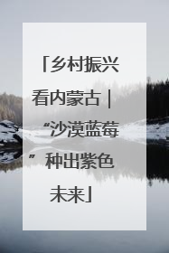 乡村振兴看内蒙古｜“沙漠蓝莓”种出紫色未来