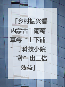 乡村振兴看内蒙古｜葡萄草莓“上下铺”，科技小院“种”出三倍效益