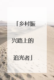 乡村振兴路上的追光者