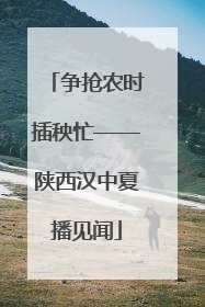 争抢农时插秧忙——陕西汉中夏播见闻